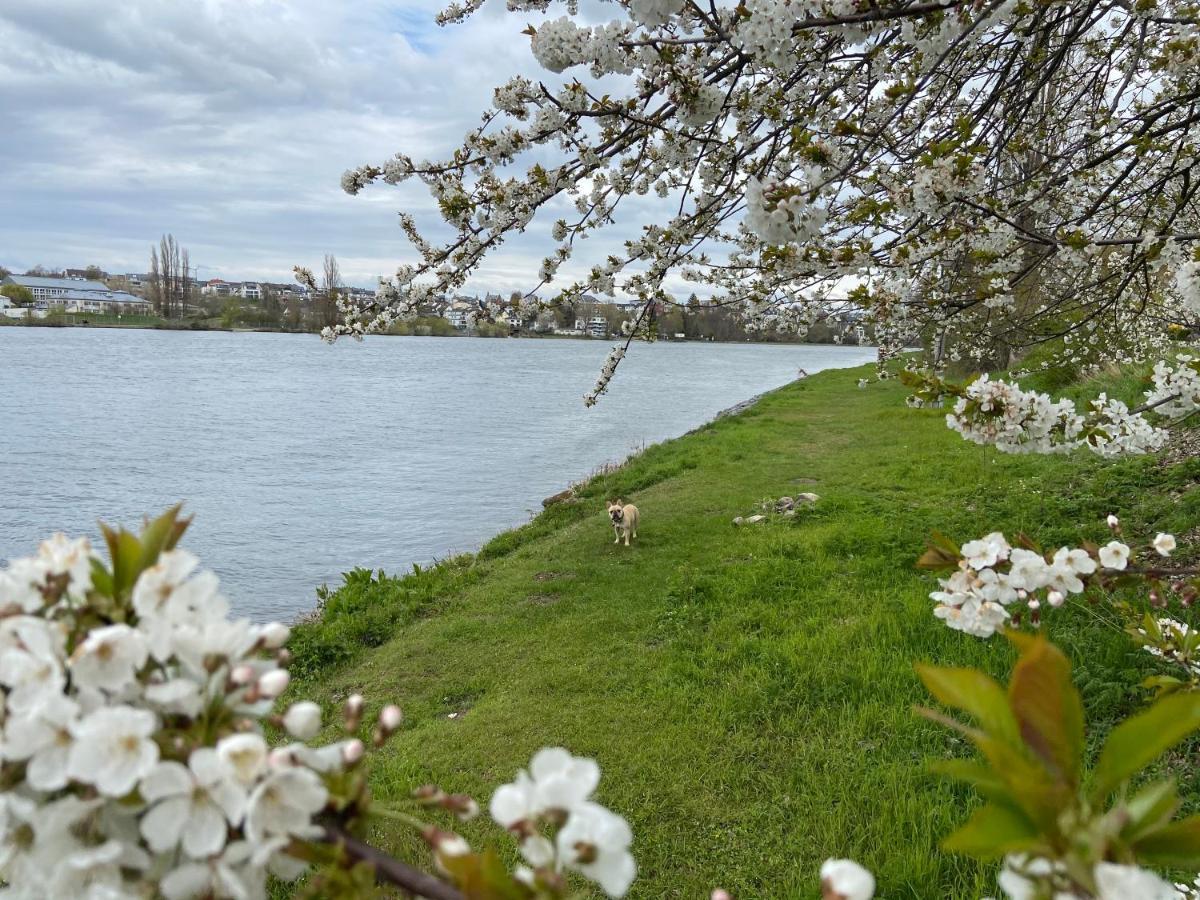 Lieblingsplatz Koblenz Villa Koblenz  Luaran gambar